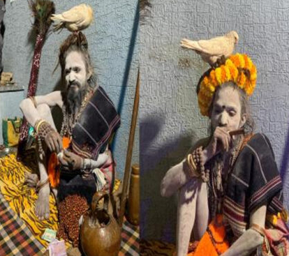 Pigeon Baba reached Prayagraj Maha Kumbh.. You will be surprised to know his daily routine