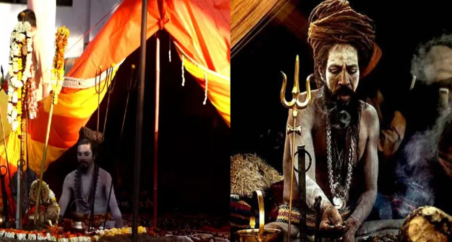 Mahakumbh 2025: What is the difference between the worship of Naga Sadhu and Aghori? Know here