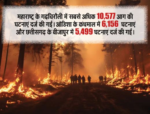 Why do forests catch fire? In 20 years, incidents of forest fires in India have increased 10 times