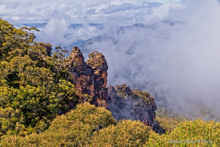 Australia’s Global ‘Nature Positive’ Summit features Indigenous voices, but little government action