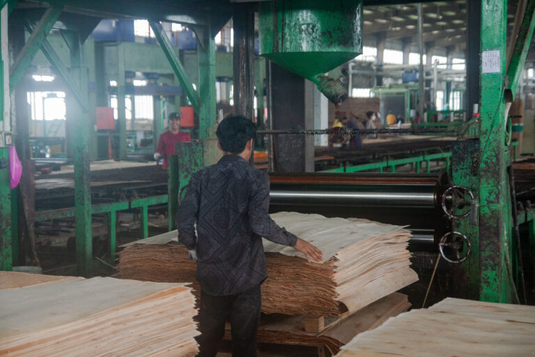 Cambodian logging syndicate tied to major U.S. wood flooring supply chains