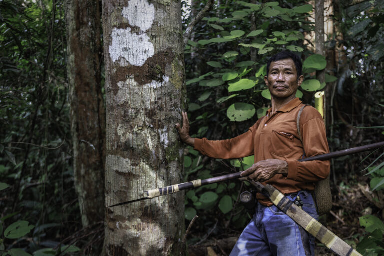 Biomass firm poised to clear Bornean rainforest for dubious ‘green’ energy