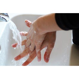 Wash Your Hands to Prevent Illness