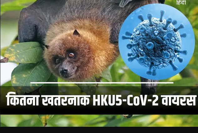 HKU5-CoV-2 in China: चीन में मिला कोविड जैसा खतरनाक वायरस, इंसानों पर करता है अटैक, क्या फिर आएगी महामारी?