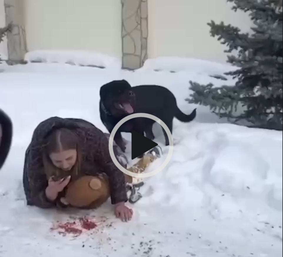 Full video: Dog attacked the child, the woman protected the child from the dog